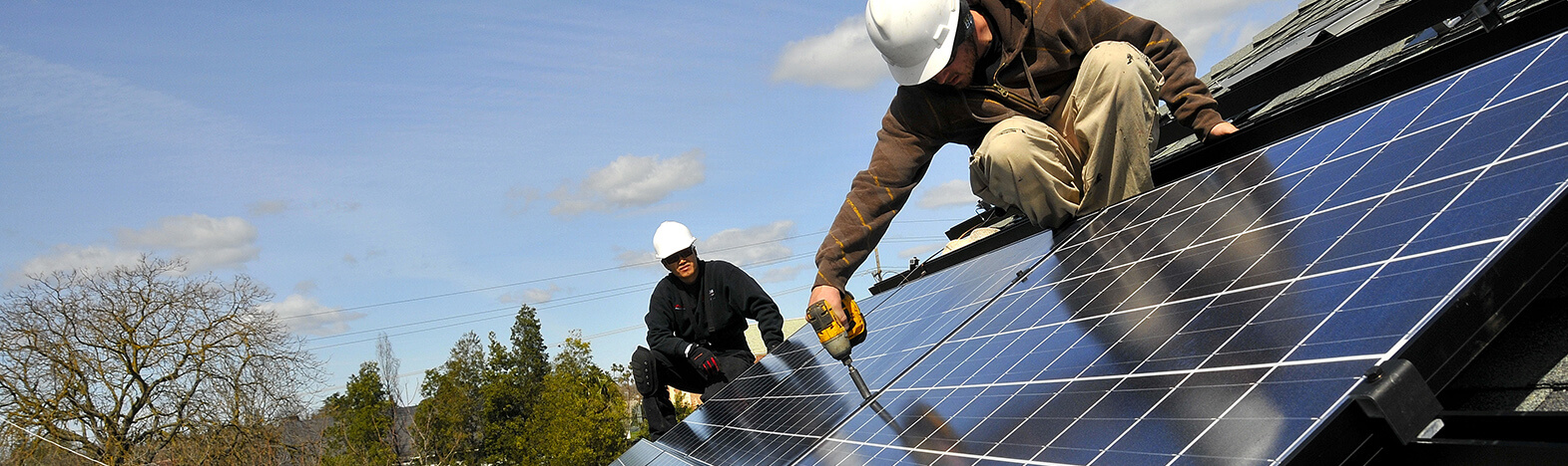 Electrical Contractor